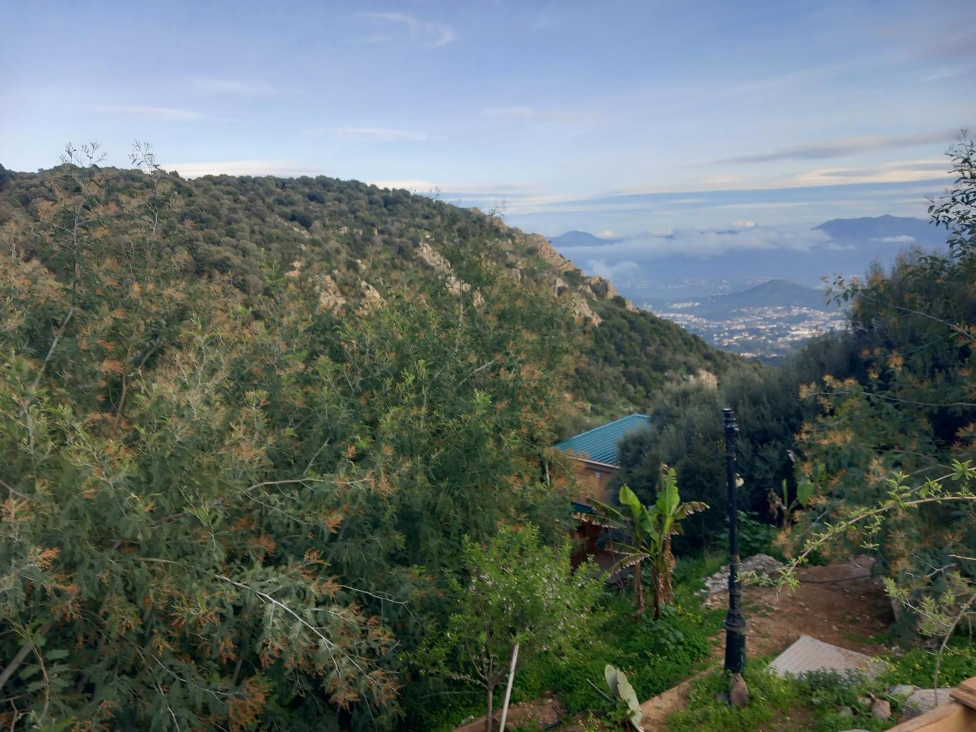 Villa A Croce Алата Екстер'єр фото